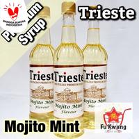 Gambar Sirup Trieste Premium Syrup Rasa Mojito Mint Flavour 650 ml dari FK Sinar Indah undefined 1 Tokopedia