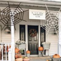 Gambar good product -5 Feet Spiderweb Large Spider Web Halloween Cobweb dari Rivangga Store undefined 5 Tokopedia