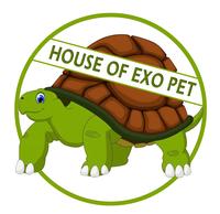 Gambar LAMPU UVA + UVB + 2 FITTING CERAMIC PAKET HEMAT dari House of Exo Pet undefined 2 Tokopedia