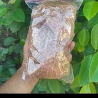 Gambar ijuk kelapa halus / coco fiber - pengganti media tanam anggrek dari AHSA Mabel undefined 4 Tokopedia