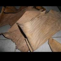 Gambar Daun Pisang / Klaras Kering/Kelaras dari AHSA Mabel undefined 3 Tokopedia