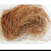 Gambar ijuk kelapa halus / coco fiber - pengganti media tanam anggrek dari AHSA Mabel undefined 1 Tokopedia