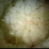 Gambar Ready caruluk 500 gram atau kolang kaling muda buat manisan dari ObatKampung undefined 3 Tokopedia