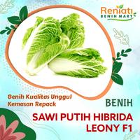 Gambar 40 biji Benih sawi putih - bibit sayuran slobor unggul dari Reniati benih mart undefined 1 Tokopedia