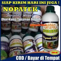 Gambar NOPATEK Fungisida Hayati Obat Hama Bercak & Busuk Daun Pada Ubi dll dari ISTIQOMAH STORE TASIK undefined 4 Tokopedia