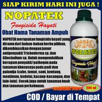 Gambar NOPATEK Fungisida Hayati Obat Hama Bercak & Busuk Daun Pada Jagung dari ISTIQOMAH STORE TASIK undefined 2 Tokopedia
