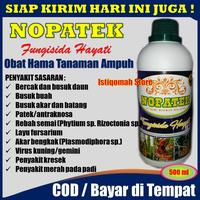 Gambar NOPATEK Fungisida Hayati Obat Hama Bercak & Busuk Daun Pada Jagung dari ISTIQOMAH STORE TASIK undefined 1 Tokopedia