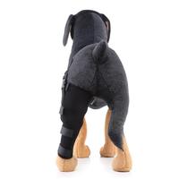 Gambar Pet Supplies Knee Pads Dog Leg Support Guard Assist Tool dari CV Adi Nugroho undefined 4 Tokopedia