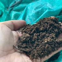 Gambar Kotoran Walet Asli 20 kg bu PT.Koloni Walet Indonesia parfum walet dari indra store-2 undefined 1 Tokopedia