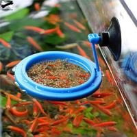 Gambar FEEDING FLOATING RING Tempat Makan Pakan Ikan Mengapung aquarium dari Michelle aquatic undefined 2 Tokopedia