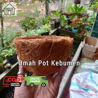 Gambar Sarang Burung Tempat Bertelur Lovebird Parkit Murai Cucak dari Omah Pot Kebumen by Miss undefined 3 Tokopedia