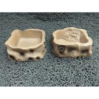 Gambar Water Dish Reptile Panana Snake Gecko BD Ular Kadal Resin NOMOY NS-83 dari Pet Express Murah undefined 3 Tokopedia