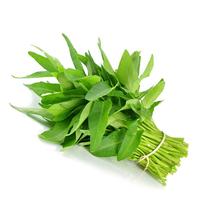 Gambar Kangkung Segar 250 gram / Ikat dari Aneka Sayuran Segar undefined 1 Tokopedia
