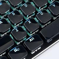 Gambar ALCHA KEYCAPS CRYSTAL FLAT BACKLIT OEM PROFILE BLACK / WHITE dari COC Komputer undefined 2 Tokopedia