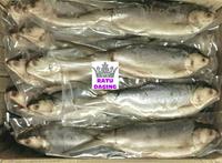 Gambar Ikan Bandeng Cabut Duri @350gr - SUPER DEAL!!! dari Ratu Daging Tangerang undefined 2 Tokopedia