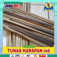 Gambar Batang Bilah Bambu Tanaman Pagar - ajir Tanaman Stake Plant 180 cm dari HIDAYAT STORE IND undefined 4 Tokopedia