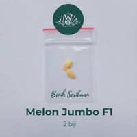 Gambar 2 Benih Melon Jumbo F1 Hibrida Bibit Buah Melon Orange Manis Super dari 1000benih jakarta undefined 4 Tokopedia