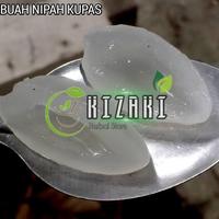 Gambar Bisa COD BUAH NIPAH KUPAS dari TIGA SEKAWAN 111 undefined 2 Tokopedia