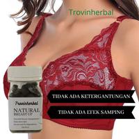 Gambar Trovinherbal Jamu Empot Ayam Asli Ramuan Madura Sari Rapet Wangi dari Nia Nugroho shop undefined 2 Tokopedia