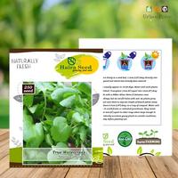 Gambar benih tanaman Aneka air true butterhead keriting Romain sayur Selada dari Ajaba Nursery undefined 2 Tokopedia