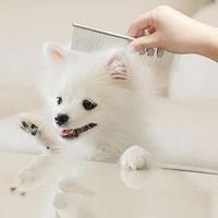 Gambar Sisir Stainless Steel Bulu Binatang Peliharaan Anjing Kucing TCE03009 - Silver dari XO Ace Cute Stuff undefined 1 Tokopedia