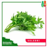 Gambar Seledri segar 500 gram dari Dusaka undefined 1 Tokopedia