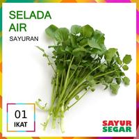 Gambar [CIBUBUR] SELADA AIR SAYUR [1 Ikat] dari Sayur Segar Cibubur undefined 1 Tokopedia