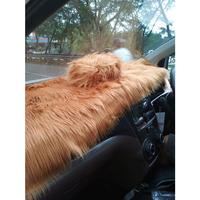 Gambar Alas Bulu Dashboard Mobil Size Universal Bahan Impor dari Korea - Magenta dari Joel Online Shop Surabaya undefined 3 Tokopedia