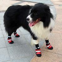 Gambar TFENG Dog Paw Protector Waterproof Dog Boots Anti Slip for Indoor dari Pets USA undefined 1 Tokopedia