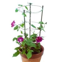 Gambar DPT Plant strip 60 cm dari DEPATOMALL undefined 5 Tokopedia