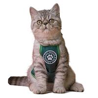Gambar MIANHUATANG Pet Apron Saliva Towelï¼ŒHalloween cat Clothes dari Pets USA undefined 5 Tokopedia