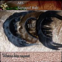 Gambar ABS SB Alat bantu sasak Sanggul bali ABS SB dari hameeda_ undefined 2 Tokopedia