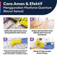 Gambar Racun Semut Ampuh [Obat Anti Semut] – Maxforce Quantum 12gr (2pcs) dari envuindonesia undefined 5 Tokopedia