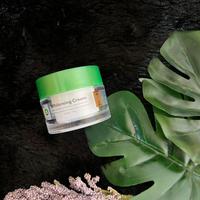 Gambar LIZ SKINCARE Paket Whitening Sabun Whitening Cream dan Salep Night dari Liz Skincare Surabaya undefined 5 Tokopedia