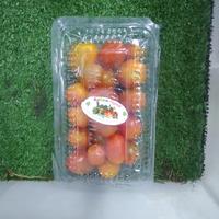 Gambar KEBUN ORGANIK Tomat Cherry Organik [1925081100007] dari Segar Food Market undefined 1 Tokopedia