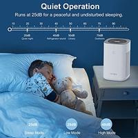 Gambar Air Purifiers for Home Large Room HEPA Air Purifier Air Cleaner dari Home and Kitchen USA undefined 3 Tokopedia