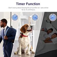 Gambar LEVOIT Air Purifiers for Home Large Room, H13 True HEPA Filter Cleaner dari Home and Kitchen USA undefined 5 Tokopedia