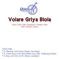 Gambar Senar biola pirastro chromcor set original dari si bontot3917 undefined 5 Tokopedia