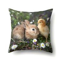 Gambar Sarung Bantal Sofa Print Mptif HEWAN 45 x 45cm Lucu Cute Cushion Cover - KUPU06_GRADIEN dari PalingMurah undefined 2 Tokopedia