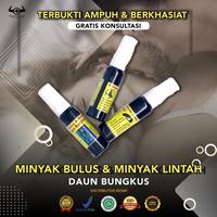Gambar Minyak Bulus Minyak Lintah Daun Bungkus Memperkencang Memperbesar dari friiska-a undefined 2 Tokopedia