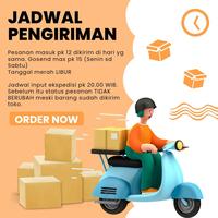 Gambar RHODIUM BOX ISI 30 TABLET - Obat Wasir dan Varises Herbal dari indrina_ undefined 2 Tokopedia