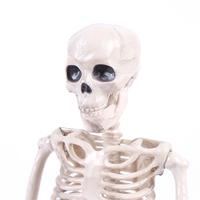 Gambar SUER 1 PC Party Supply Human Skeleton Photography Props Model Bone dari Sullack official undefined 5 Tokopedia