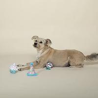 Gambar Fringe Studio Plush Dog Toy Set, Happy BARK-Day!, 3 Piece Set dari Pets USA undefined 3 Tokopedia