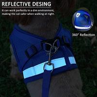 Gambar LABOTA Cat Harness and Leash Set for Walking dari Pets USA undefined 2 Tokopedia