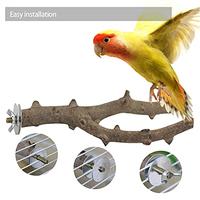 Gambar RF-X Bird Toys for Parrots, Natural Parrot Toys Grape Stick Bird dari Pets USA undefined 3 Tokopedia