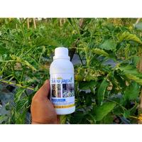 Gambar Unik SAPU JAGAD Pemusnah Jamur dan Bakteri Tanaman 250ml Murah dari fawnia shoop undefined 4 Tokopedia