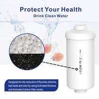 Gambar Berkey compatible PF-2 Fluoride Filter (Set of 2), Fluoride Kamjay dari Kamajaya Procurement undefined 3 Tokopedia