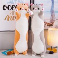 Gambar Boneka guling kucing, bantal, cushion kitty cat dari Yakusa05 undefined 3 Tokopedia