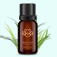 Gambar Minyak Aromaterapi Esential Oil Pijat Spa Diffuser Humidifier 10ml - Rose dari Afika Smarthome undefined 2 Tokopedia