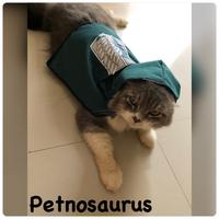Gambar New!!! Jubah cosplay baju kucing anjing attack on titan,survey dari Fatchshope undefined 2 Tokopedia